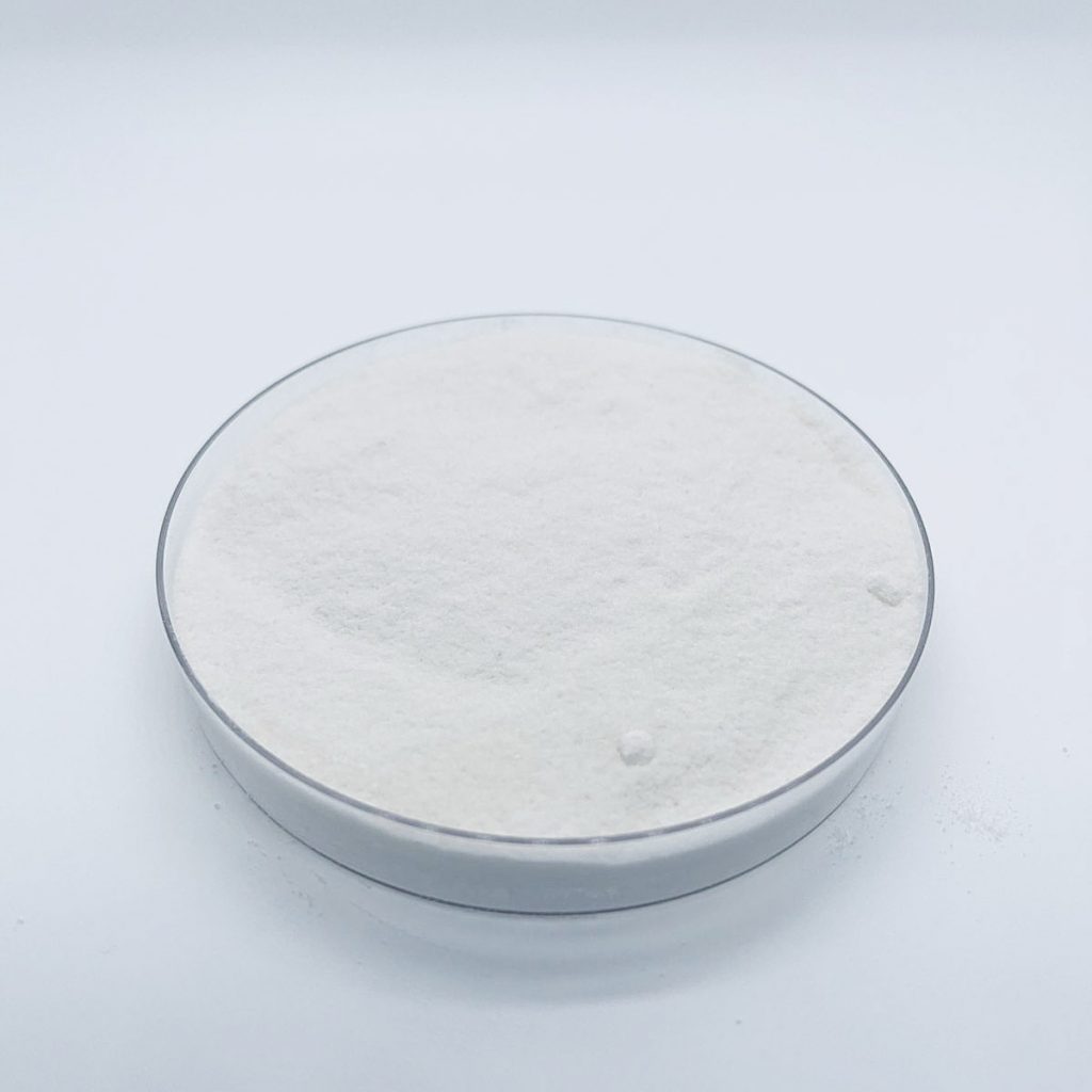 CSL Esteaoril Lactil Lactato De Cálcio