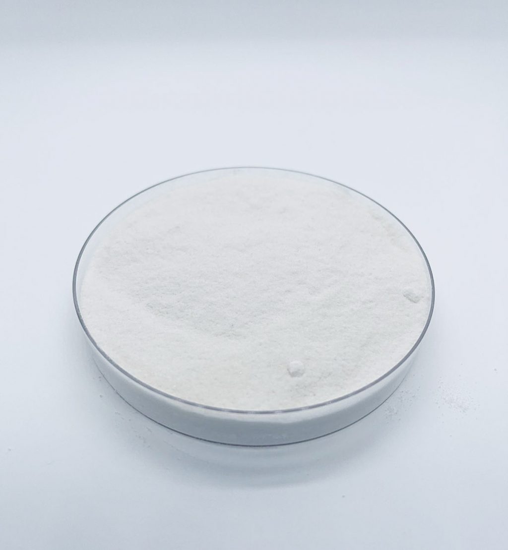 CSL Esteaoril