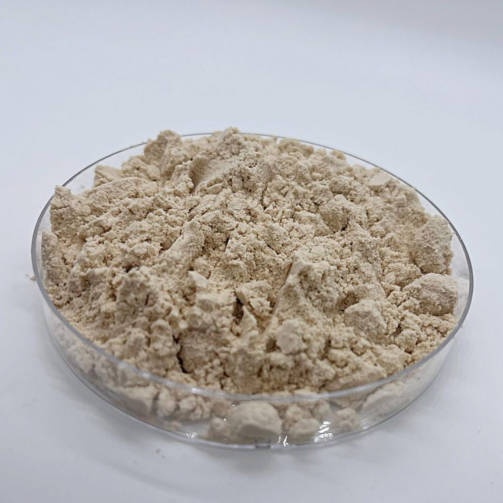 Proteína Isolada Da Soja